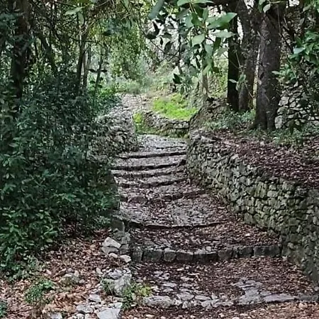 Bord Du Gardon, Near Uzes And Pont Du Gard *